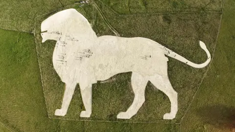 An aerial view of the white chalk lion with volunteers, who are very small, that can be seen on the surface of the chalk art.