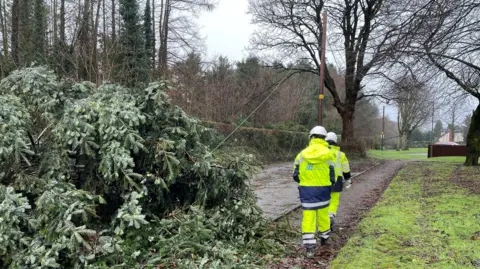 Two men in hi-vis clothes walk towards a fallen power line with a tree on the ground 