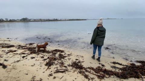 Owner and dog at a beach in Guernsey 