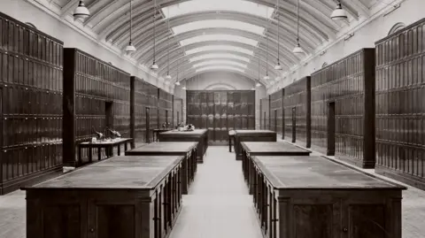 PA Historic museum gallery with glass display cases containing preserved animal specimens. An orangutan specimen hangs in the nearest case as exhibits stretch into the distance