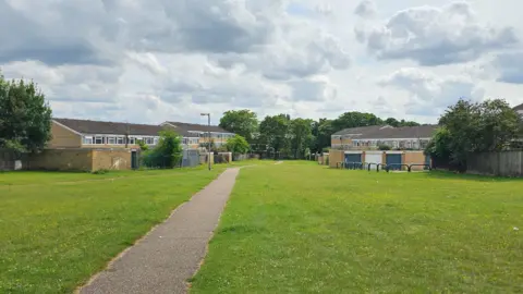 Paul Moseley/BBC A green space on the estate