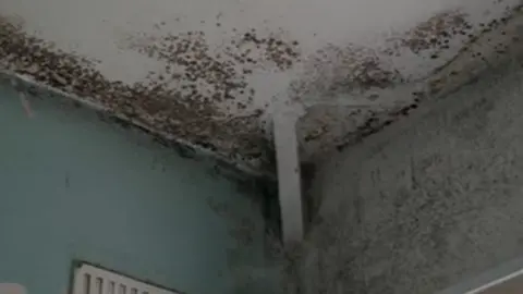 Bedroom walls covered in mould