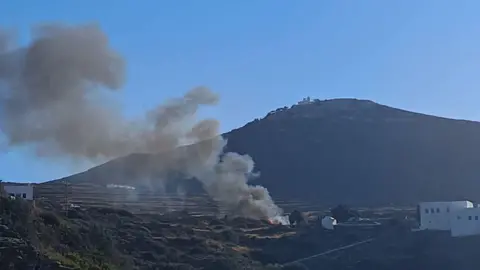 Handout via Reuters Large plume of grey smoke seen coming from a crash site, with a large mountain in the background