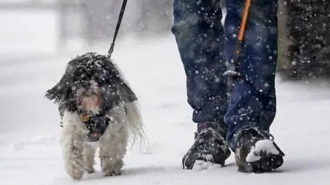 PA Media A man wearing jeans and walking shoes walks his dog on a lead along a snow-covered path. 