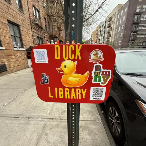 JJ Cerillo A photo of the duck 