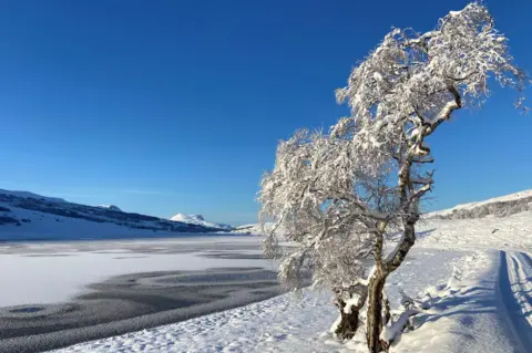 James Anderson The loch is frozen over. There is a snow-capped mountain in the distance. On the shores of the loch are two trees that are coated in ice. The sky is bright blue.