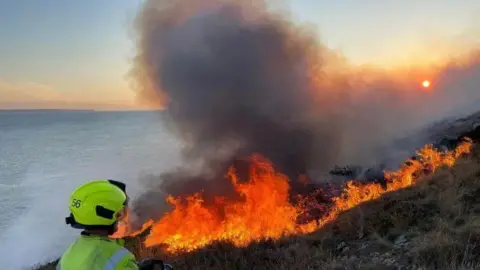 A firefighter in a green helmet and green high visibility clothing. There is a wildfire in front of him. The flames are a bright orange and there is dark grey smoke. Behind the fire is the blue sea. The sun appears to be rising and the sky is a light blue. 