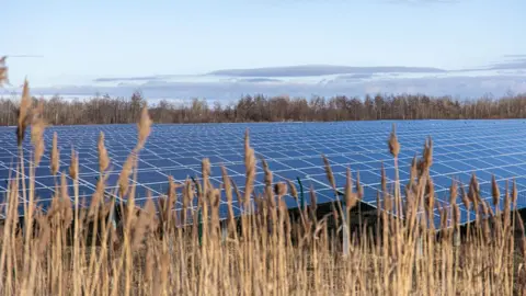 View of solar panels set in a field of tall grass surrounded by trees