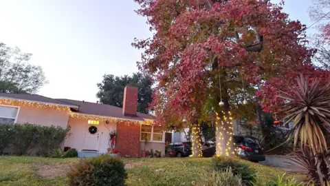 Handout The house is seen lit up with fairy lights and with baubles hanging from a tree.