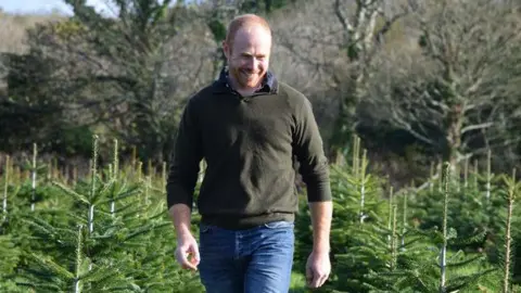 Tregaminion and Bruggan Farms Farmer James Richards walks around a field of Christmas trees on his farm. He is wearing a green jumper and blue denim jeans. He has short ginger hair and a beard. He is smiling.