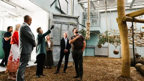 Robbie Dark Photography Princess Anne points up as she gets a sneak peek of the enclosure before the gorillas. She is joined by zoo staff. There is a rope hanging from the ceiling, with rope netting and a wooden climbing frame.