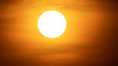 The sun