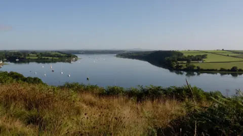 Adrian Burke The Cleddau estuary in Pembrokeshire. Green fields can be seen on either side of the waterway which is filled with small sailing boats and yachts. 