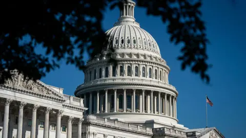 The outside of the US Capitol with a branch of a tree seen at the top of the image. An American flag is also waving in the background.