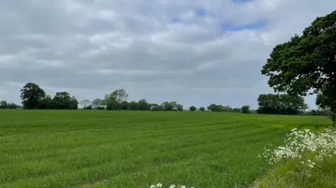 A large green field pictured on a cloudy day. There are trees dotted around the landscape.