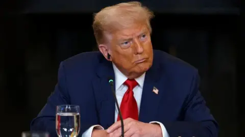 US President Donald Trump during a meeting with African leaders at the White House, Washington, DC, USA, 09 July 2025.