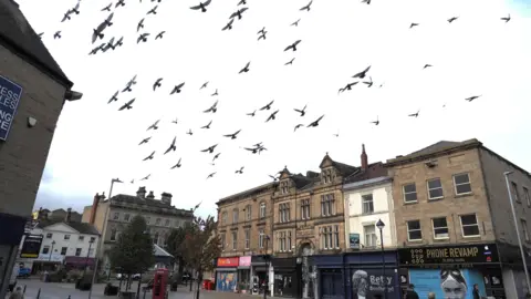 Many pigeons fly above the centre of Dewsbury, looking as if they are about to swoop down for food. The picture shows a square of shops and trees and a phone box in the centre. 