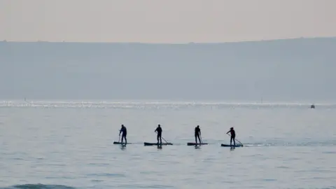 south_coast_sanctuary Four paddleboarders in a row out at sea.