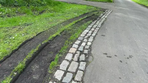 LDRS Muddy tyre tracks across grass in the park