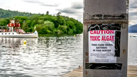 A boat sails on Lake Windermere while in the foreground a sign warns bathers of toxic algae in the water