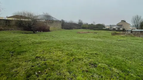 A patch of open grassland with a tree in the distance. In the distance are several terraced houses, while behind a wall there are some other buildings.