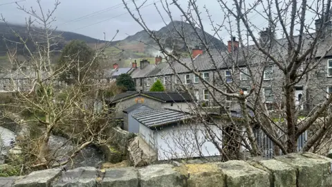 BBC Image showing a row of grey cottage style bricked houses behind naked trees and a stream. In the background mountain and greenery can be seen. 