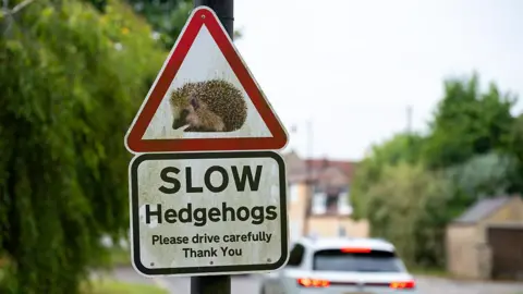 Getty Images Road sign asking drivers to be careful of hedgehogs