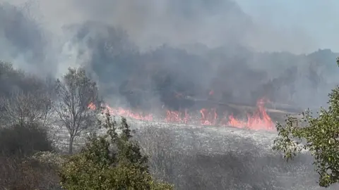 Black smoke and flames coming from grassland. 