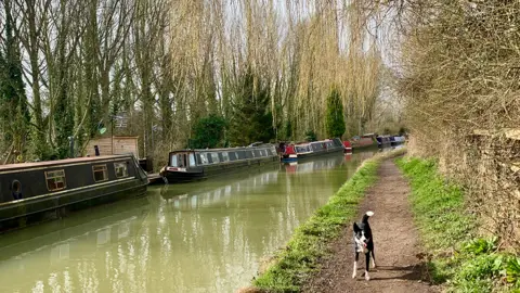 Little Acorns / BBC Weather Watchers A black and white dog on a towpath alongside a green canal with a row of boats on it