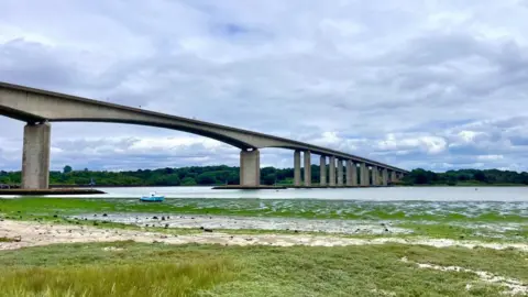 Picture is taken at the angle of looking towards the Orwell Bridge from the southern shore and bank. It is a large concrete construction with arches, carrying a dual carriageway over it. It is a cloudy day and the tide is out so you can see the mud flats covered in green plant matter.