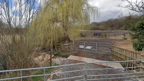 View of land north of Blundel Lane at Stoke d'Abernon near Cobham. The land is farmland behind metal gates and surrounded by overgrown plants.