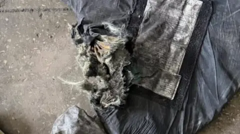 Thames Valley Police A badly damaged part of police body armour, in grey and blue colours. It has a large rip in it. 