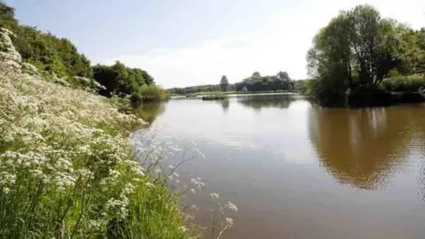 A view over a large lake with brown water. Cow parsley, grass and trees grow on the banks, framing the lake.