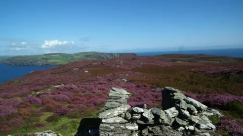 ARON SAPSFORD A view from the Calf that shows the Isle of Man in the background. There is heather on the ground and a stone wall.