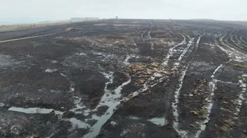 BBC/Stuart Prandle An aerial shot of mostly blackened moorland.