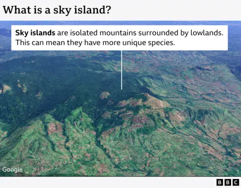 Graphic showing what a sky island is