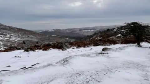 Dartmoor National Park Snow on open moorland with trees and scrubland in background.