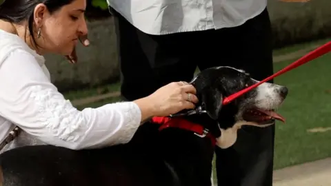 Reuters Une femme joue avec le chien de Ratan Tata, Goa, alors que les gens assistent à la représentation finale de l'ancien président du groupe Tata, Ratan Tata, à Mumbai, en Inde, le 10 octobre 2024. 