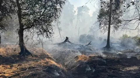 A woodland is burning and there is smoke coming from the peatland. Sections have been dug out of the woodland to create pockets for the fire. Several trees have fallen over.