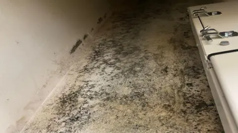 Heavy black marks on a cream-coloured wall indicative of extensive mould growth.