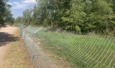 Matt Blumsom/BBC Fencing around a beaver enclosure