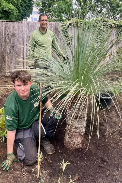 The Royal Parks A man kneels in a garden bed planting, while another stands behind, both beside a large spiky grass plant in front of a wooden fence.