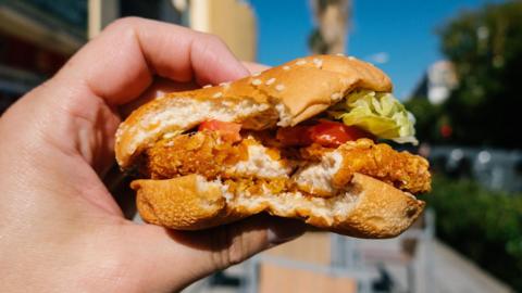 Man's hand holding a chicken burger