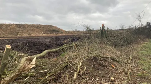 An area of land, with felled tree stumps, next to a muddy field and a small hill