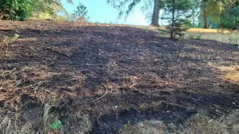 Wyre Forest District Council A patch of scorched grass. The land is black and stretches up over a small hill. The grass around the affected area is brown and dry. 