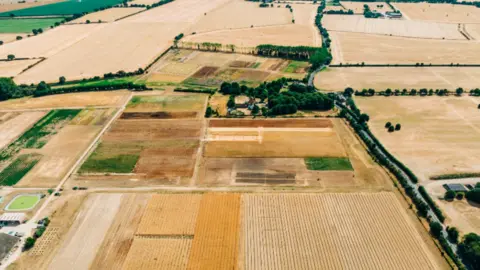 An aerial view of dead (yellow) fields during a drought