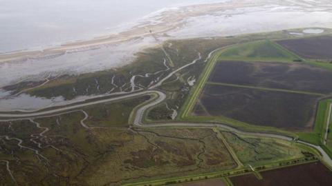 Tetney Marshes, Lincolnshire