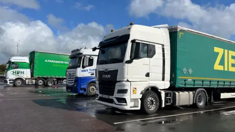 Three large HGVs parked in a row in a lorry park with blue sky and clouds in the background and puddles on the tarmac in the foreground.