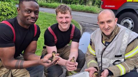 The three firefighters holding three ducklings, crouching down beside the road