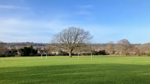 A view of Stoke Lodge, with a few goal posts and a large tree in the centre